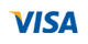 Visa kart logo